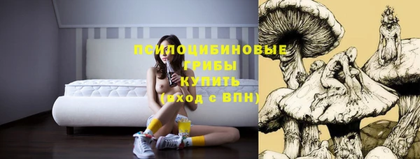 стафф Белокуриха